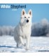 Berger Blanc Suisse 2024