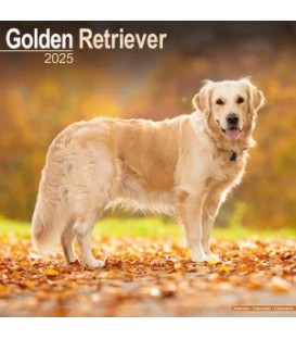Golden Retriever 2025