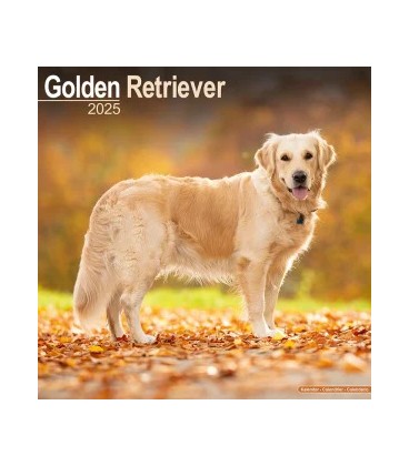 Golden Retriever 2024