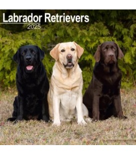 Labradors 2025