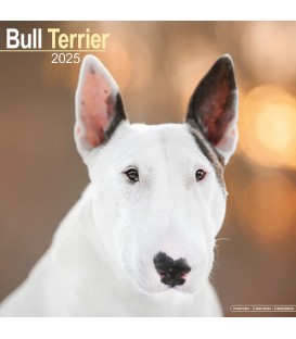 Bull Terrier calendrier 2022