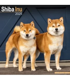 Shiba Inu 2024