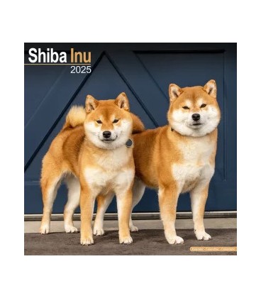 Shiba Inu 2024