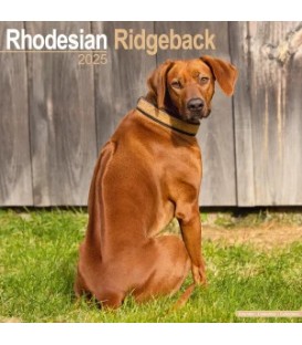 Rhodesian Ridgeback 2025