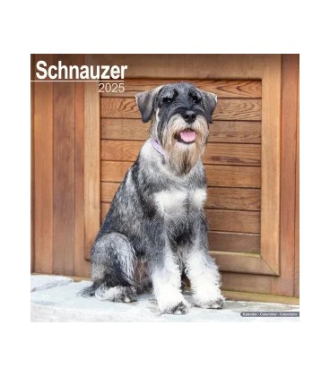 Schnauzer 2024