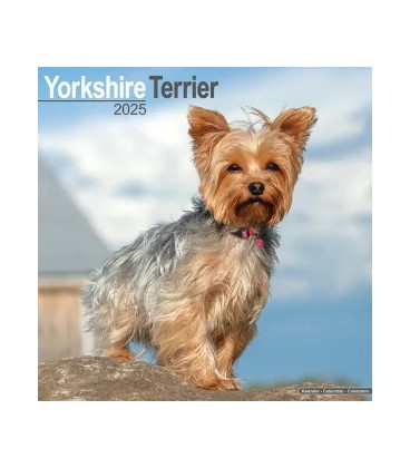 Yorkshire 2024