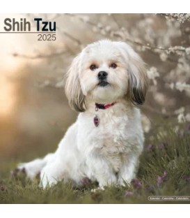 SHIH TZU 2024