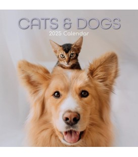 Chats et chiens 2025