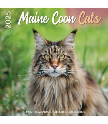 Maine Coon 2025