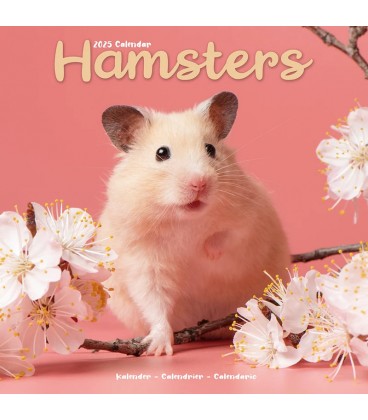 Hamsters 2024