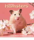 Hamsters 2025