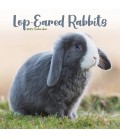 Lapins à oreilles tombantes 2025