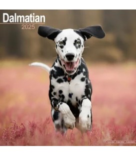 Dalmatien 2025