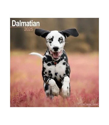 Dalmatien 2025