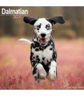 Dalmatien 2025