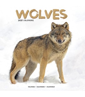 Calendrier loups 2025