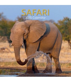 Safari 2025