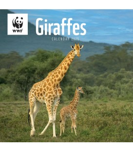 Girafes 2025 - Calendrier WWF