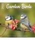 Calendrier Oiseaux du jardin 2025