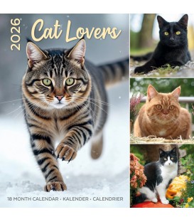 Chats amoureux 2025