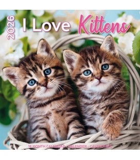 J'aime les chatons 2025
