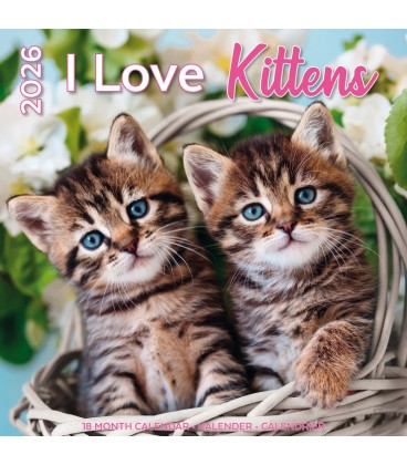J'aime les chatons 2025