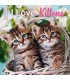 J'aime les chatons 2025