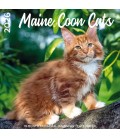 Maine Coon 2025