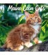 Maine Coon 2025