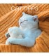 Siestes de chats 2025