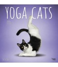 Yoga des chats 2025