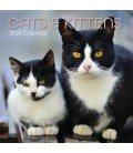 Chats et chatons 2025