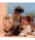 Chats et chiens 2025