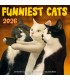Les chats les plus drôles 2025