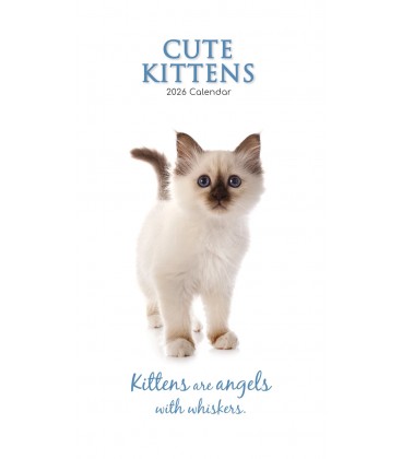 Charmants chatons 2025 (calendrier étroit)