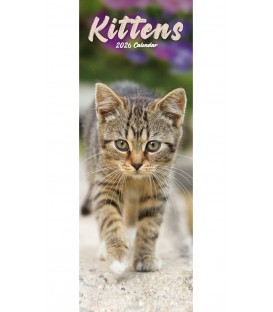 Chatons 2025 (calendrier étroit)