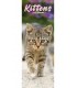 Chatons 2025 (calendrier étroit)