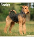 Airedale 2026
