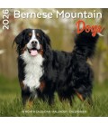 Bouvier Bernois 2026