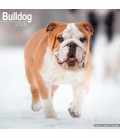 Bulldog 2026