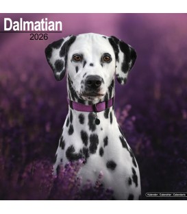 Dalmatien 2026