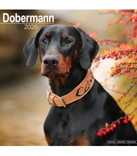 DOBERMANN 2026