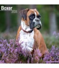 Boxer Calendrier 2026