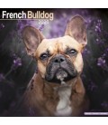 Bouledogue Français 2026