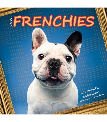 Chiots Bouledogue Français (studio) 2026