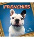 Chiots Bouledogue Français (studio) 2026