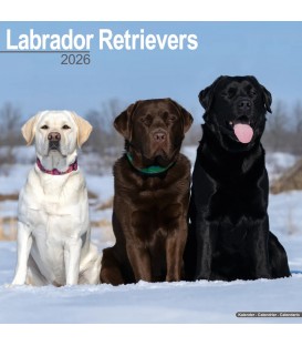 Labradors 2026