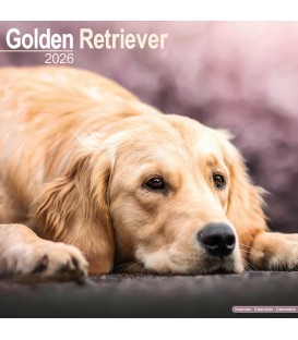 Golden Retriever 2026