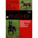 Le pinscher - collection chiens de race