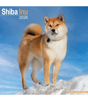 Shiba Inu 2026